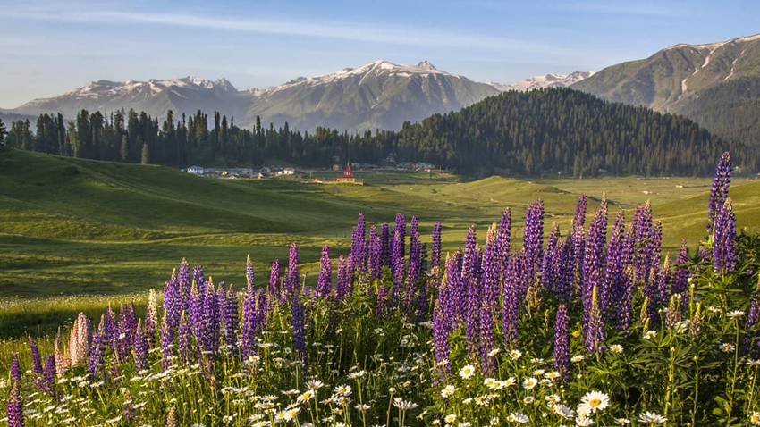 Pahalgam History