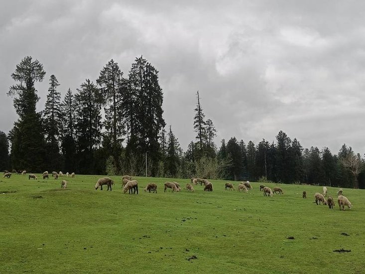 What was the old name of Pahalgam