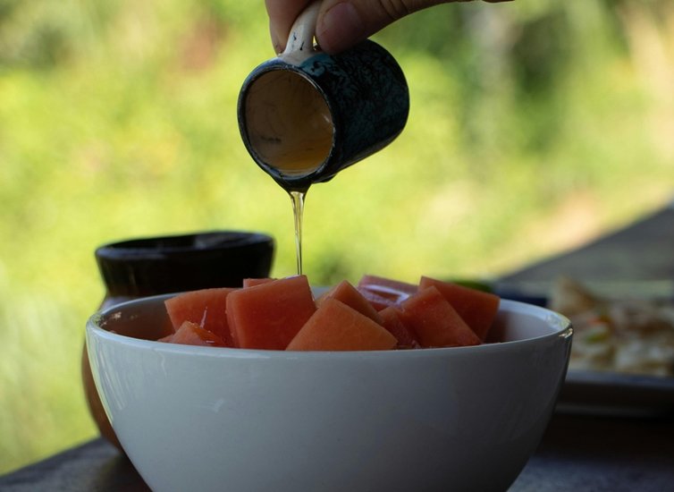 Papaya Honey Custard