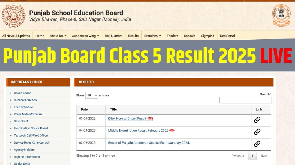 Punjab Board Class 5 Result 2025, Punjab Board Class 5 Result 2025 Date and Time, Punjab Board Class 5 Result 2025 Latest Update, Punjab Board Class 5 Result 2025 Date, Punjab Board Class 5 Result 2025 Direct Link