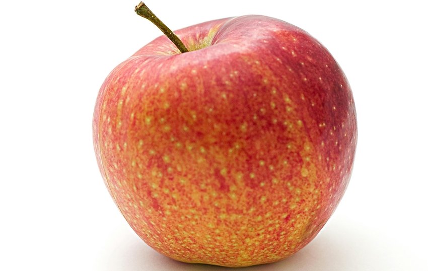 Savor the Goodness 7 Nutritious and Easy-to-Make Fruit Custards