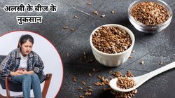 Flaxseeds Side Effects: पेट में सूजन का कारण बन सकते हैं अलसी के बीज, एक्सपर्ट से जानिए कब और कितना खाना रहेगा सेफ