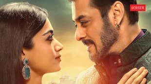 Sikandar, Sikandar Box Office, Sikandar Box Office Collection
