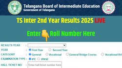 टीएस इंटर सेकंड ईयर रिजल्ट 2025 जारी, tsbie.cgg.gov.in पर जाकर चेक करें परिणाम