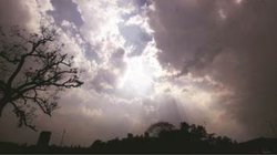 Bihar Weather: बिहार में बिजली और ओले गिरने से 25 लोगों की मौत, CM नीतीश कुमार ने किया मुआवजे का ऐलान