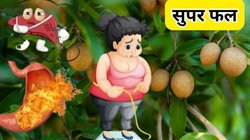 गर्मियों में बॉडी के लिए अमृत है ये फल, पाचन से लेकर हड्डियां तक हो जाएंगी मजबूत, आचार्य बालकृष्ण से जानिए फायदे