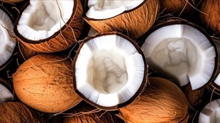 coconut shell । extreme heat