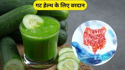 गट हेल्थ के लिए वरदान है ये कांजी, इन 3 समस्याओं से भी मिल जाएगी राहत, जानिए कैसे करें तैयार और इस्तेमाल