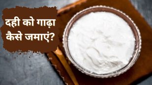 curd। best metal for curd। curd storing tips and tricks