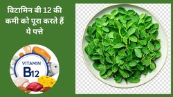 चमत्कारी हैं ये पत्ते, रोज़ खाने से शरीर में दूर होगी Vitamin B12 की कमी, बाबा रामदेव ने बताए फायदे