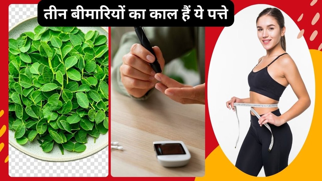 Moringa Leaves in Hindi,Moringa ke fayde kya hain, Moringa ke health benefits, Moringa ke patte ke fayde, Moringa ke patte se kya fayda hota hai, Moringa ke fayde aur upay, Moringa se hone wale health benefits,