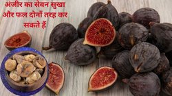 सिर्फ 15 दिनों तक अंजीर का सेवन रोजाना करें तो इन 5 बीमारियों की हो जाएगी छुट्टी, एक्सपर्ट से जानिए फायदे