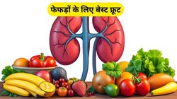फेफड़ों में जमा सारा कचरा बाहर निकाले फेंकेंगे ये 7 फल, इन 5 समस्याओं का भी हो जाएगा खात्मा, जानिए फायदे