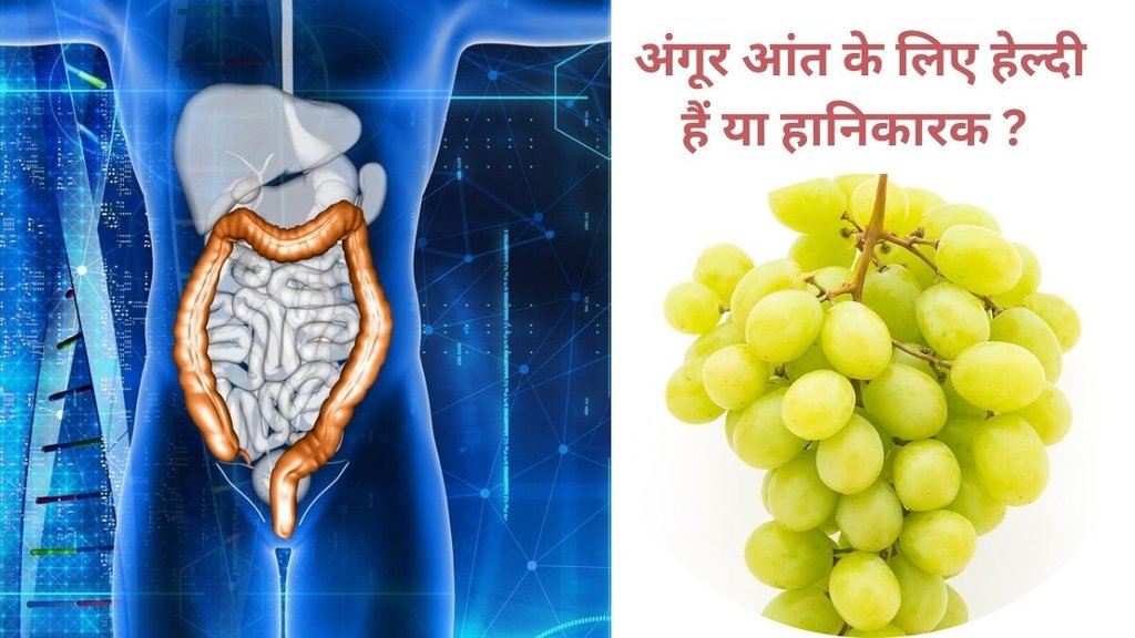grapes benefits, grapes effect on digestion,What are the side effects of grapes,When should you not eat grapes, Can consuming grapes daily increase certain gut bacteria,Eating too many grapes in one go can be a little risky for you,