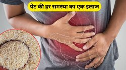 सुबह-सुबह सही से नहीं हो रहा पेट साफ तो इसबगोल की भूसी करेगी कमाल, एक्सपर्ट से जानिए कैसे करें इस्तेमाल