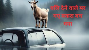 Jabalpur News,mp news, Madhya Pradesh News, latest news of Madhya Pradesh