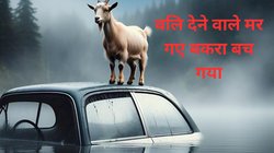 बलि देने जा रहे लोगों की कार नदी में जा गिरी, 4 की डूबकर हो गई मौत, बकरा बच गया जिंदा, हैरान कर रही पूरी घटना