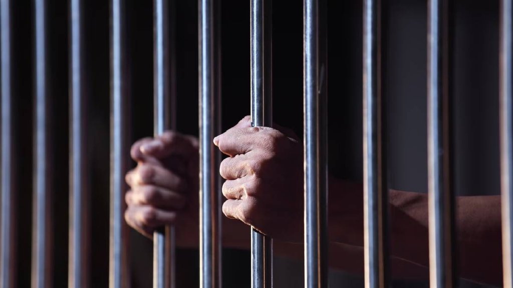 jail prisoners