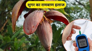 Diabetes, benefits of banana flower, banana flower, blood sugar control, blood sugar, diabetic, banana flower for Diabetes