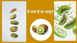 Kiwi Fruit: रोजाना 1 महीने तक खाली पेट कीवी का सेवन करने पर बॉडी में दिखेंगे ये 5 चमत्कार, एक्सपर्ट से जानिए फायदे