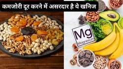शरीर को बीमारियों का घर बना देती है Magnesium की कमी, इन 4 ड्राई फ्रूट को रोज़ खा लें, कमजोरी हो जाएगी दूर