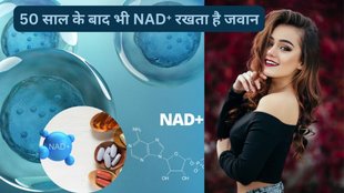 Clinical trials, Nicotinamide riboside, Nutrition, Physiology, Successful aging, what is NAD⁺, NAD⁺ deficiany age, NAD⁺ deficiany sign,how to increase NAD⁺ naturally