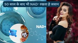 NAD⁺ क्या है जो दुनिया भर में बना हुआ है सबसे हॉट टॉपिक, किस उम्र में बॉडी में इसकी होती है कमी? डॉ. राजका ने बताया बढ़ाने का नेचुरल तरीका