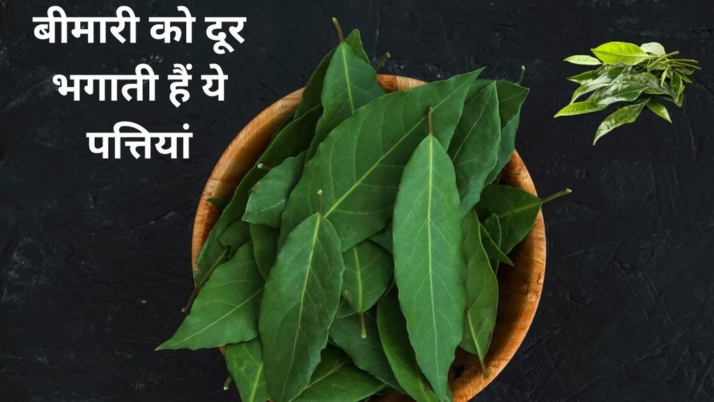 Neem leaves,benefits of neem leaves,health benefits of neem, neems for improve immunity, sashguru tips to improve health, gut health,