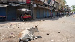 Pahalgam Terror Attack Update: क्या दिल्ली में रह रहे पाकिस्तान के 5000 लोग? IB की लिस्ट से सामने आया चौंकाने वाला आंकड़ा