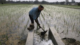 pm kisan, pm kisan samman nidhi yojana, pm kisan yojana