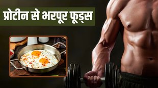 protein rich food । protein । protein rich food for weight gain