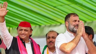 rahul gandhi | akhilesh yadav | up assembly election |