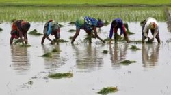 किसानों के लिए गुड न्यूज? इस साल सामान्य से अधिक बारिश का अनुमान लेकिन वैज्ञानिक इसलिए चिंतित