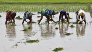 rain | monsoon season | mausam vibhag |