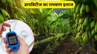 benefits of raw banana, raw banana, raw banana for reduce blood sugar, reduce blood sugar, digestive system