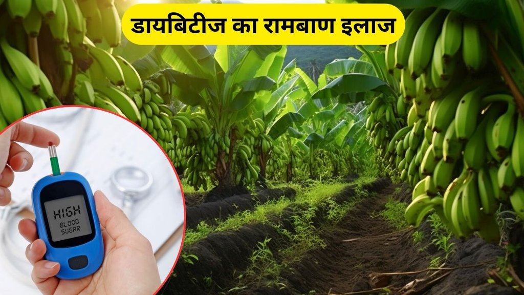 benefits of raw banana, raw banana, raw banana for reduce blood sugar, reduce blood sugar, digestive system