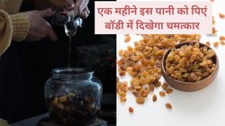 इस ड्राई फ्रूट को रात में भिगो दें और सुबह पी लें उसका पानी, बॉडी में करेगा अमृत की तरह असर, एक्सपर्ट से जानिए फायदे