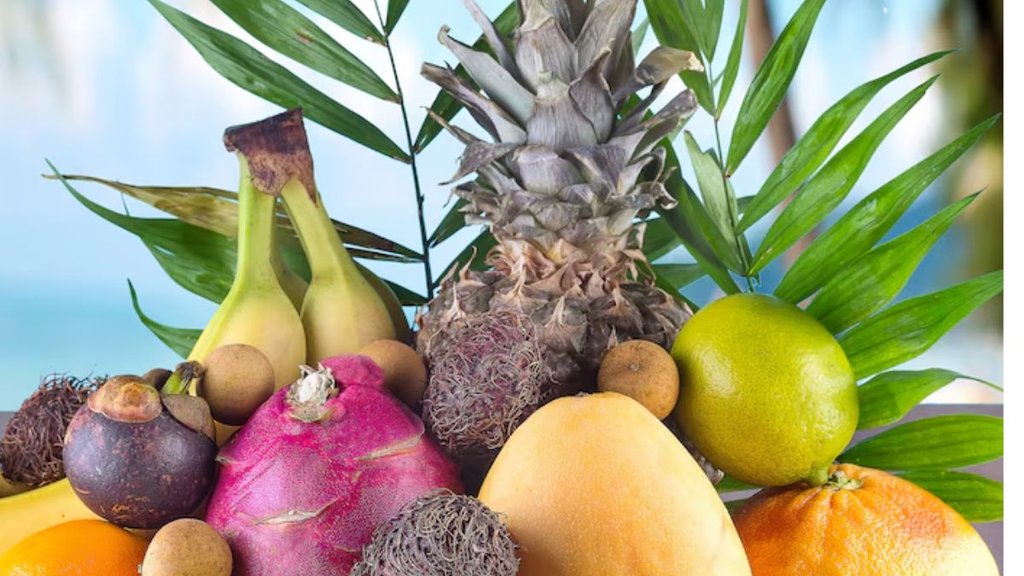 summer season dehydration food । dehydration food । summer season summer season dehydration food । dehydration food । summer season