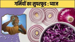 गर्मी में प्याज खाने से क्या होता है? इस तरह अपनी डेली डाइट में करें शामिल