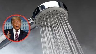 trump shower, trump, us