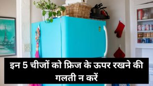 5 Things You Should Never Keep On Top Of Fridge, Fridge Vastu Tips, Fridge Vastu, Vastu Tips for Home, Vastu Tips, Fridge Ke Upar Na Rakhe Ye Chize, Vastu Tips, Vastu Shastra, Vastu Tips for Fridze, Ghar ke Liye Vastu Tips, Vastu Shastra in Hindi