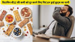 Vitamin B12: विटामिन बी12 की कमी को दूर करेगा इन ड्राई फ्रूट्स का पानी, एक्सपर्ट से जानिए कैसे करें इस्तेमाल