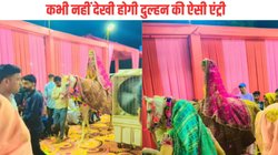 सफेद घोड़े पर सवार होकर सजी धजी दुल्हन ने मारी एंट्री, चौंक गए रिश्तेदार-मेहमान, Viral Video पर यूजर्स ने ऐसे किया रिएक्ट