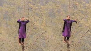 Kashmiri woman dance on tree,woman dance on tree to Jhalla Wallah song,woman dance on tree