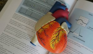 How Much Salt intake daily in Hypertension
