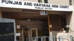 Punjab News: सोशल मीडिया इनफ्लुएंसर ने हेयर ऑयल से गंजापन दूर करने का किया दावा, हो गया रिएक्शन; कोर्ट ने कहा- नहीं मिलेगी जमानत