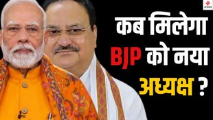 BJP new national president 2025, Who will be the next BJP president, JP Nadda tenure end BJP president
