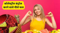 कोलेस्ट्रॉल को तुरंत कम करते हैं ये 3 पीले फल, हार्ट अटैक का खतरा नहीं, रोज खाएं और भरपूर जिंदगी जिएं