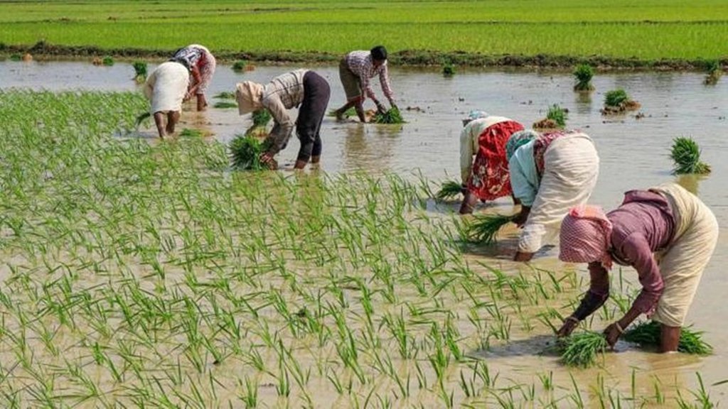 Trump tariff policy, Indian farmers, US trade war, agriculture export India