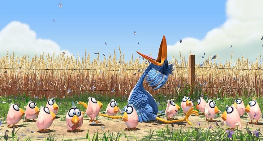 For the Birds